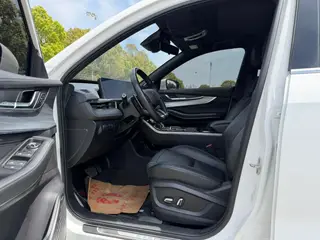 Exeed LX 2020 1.6T DCT Star Rui Edition interior photo 8 Exeed LX 2020 1.6T DCT Star Rui Edition interior photo 8