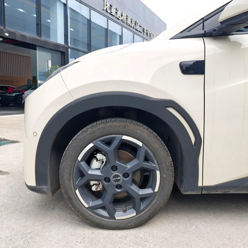 BYD Seagull 2025 Smart Driving Version 305KM Free version exterior photo 2 BYD Seagull 2025 Smart Driving Version 305KM Free version exterior photo 2