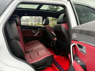 Jetour X70 PLUS 2021 1.6T DCT Земля Pro 7 Кресло экстерьер фото 10