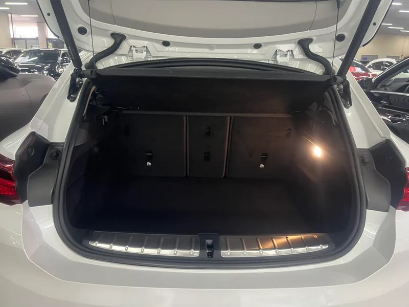 BMW X2 2021 Restyling sDrive25i M Off-road suit interior photo 15