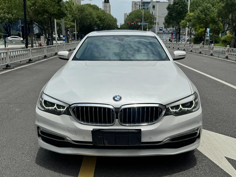 BMW 5 Series 2020 525Li Роскошный набор экстерьер фото 2
