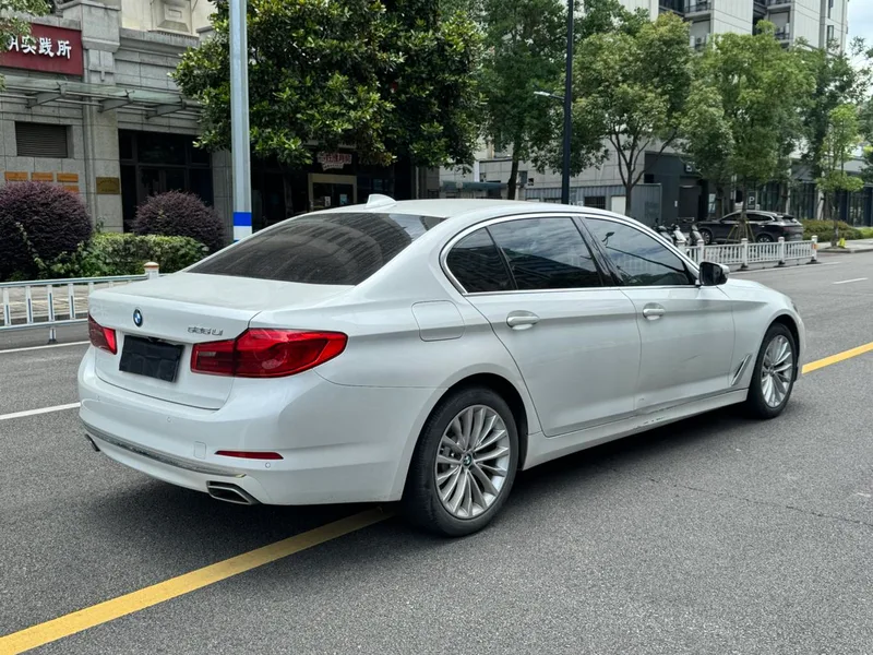 BMW 5 Series 2020 525Li Роскошный набор интерьер фото 9