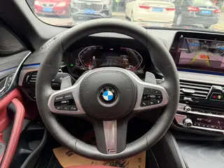 BMW 5 Series 2021 530Li Premium Class M Sports suit exterior photo 6