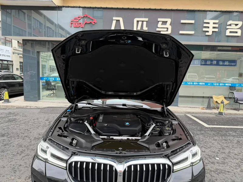 BMW 5 Series 2021 530Li Premium Class M Sports suit interior photo 13