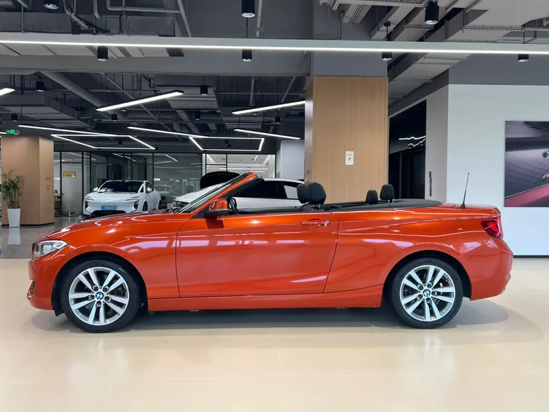 BMW 2 Series 2015 220i Coupé convertible Líder exterior foto 3
