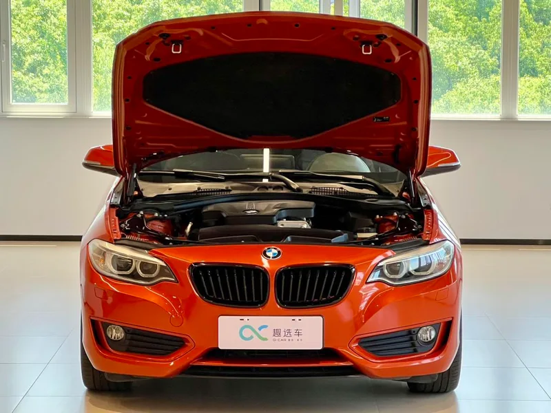 BMW 2 Series 2015 220i Coupé convertible Líder interior foto 17