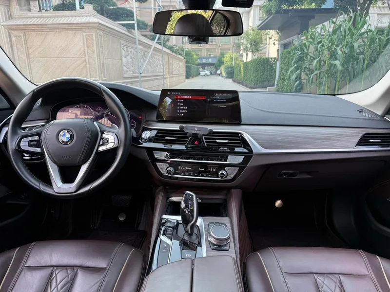 BMW 5 Series 2019 530Li xDrive Luxury Set exterior photo 6