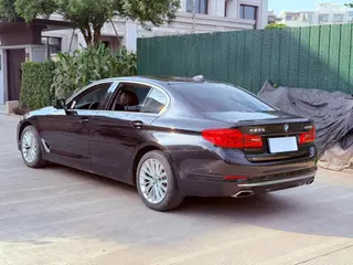 BMW 5 Series 2019 530Li xDrive Luxury Set interior photo 10