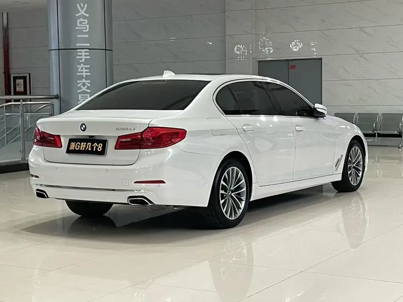 BMW 5 Series 2020 530Li Líder Traje de lujo interior foto 6
