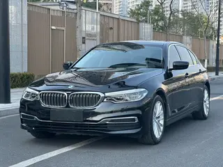 BMW 5 Series 2020 530Li Лидирующий Роскошный набор