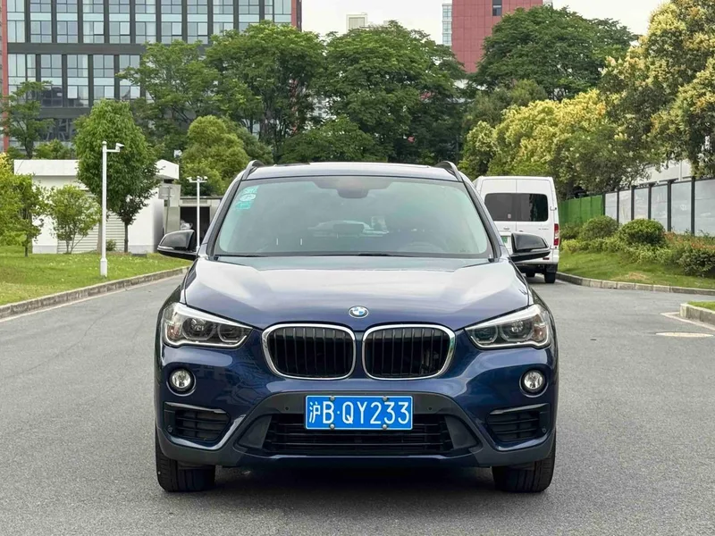 BMW X1 2016 xDrive20Li Luxury type exterior photo 2