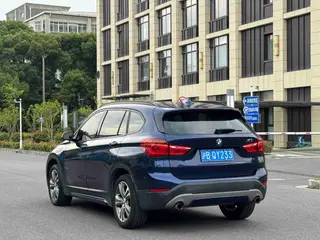 BMW X1 2016 xDrive20Li Luxury type exterior photo 6
