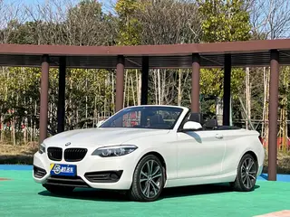BMW 2 Series 2019 225i Convertible Coupe Sports Design Suit