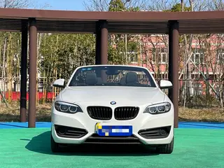 BMW 2 Series 2019 225i Convertible Coupe Sports Design Suit exterior photo 2