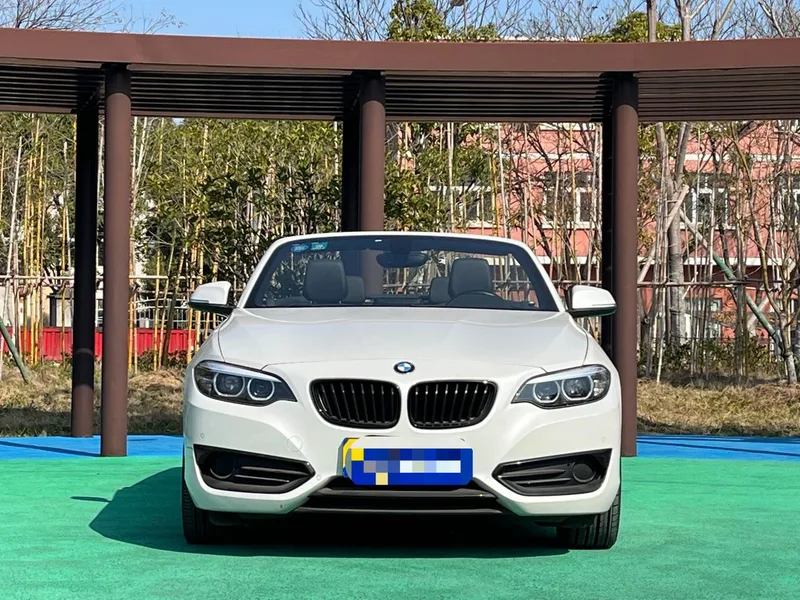 BMW 2 Series 2019 225i Convertible Coupe Sports Design Suit exterior photo 2