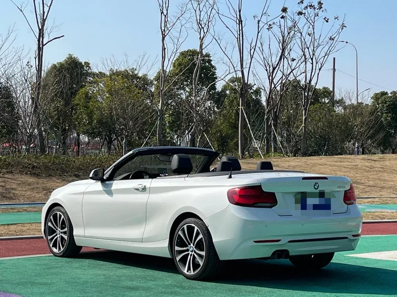 BMW 2 Series 2019 225i Convertible Coupe Sports Design Suit interior photo 6
