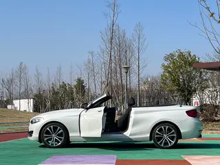 BMW 2 Series 2019 225i Convertible Coupe Sports Design Suit interior photo 7