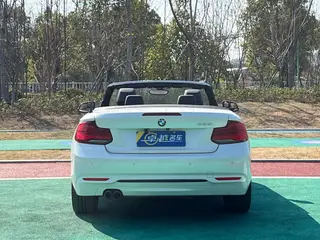 BMW 2 Series 2019 225i Convertible Coupe Sports Design Suit interior photo 8