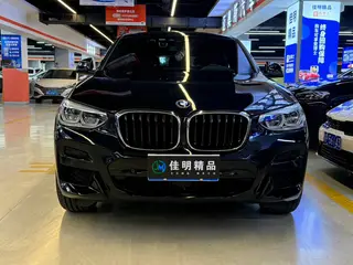 BMW X4 2019 xDrive30i M Off-road suit exterior photo 2