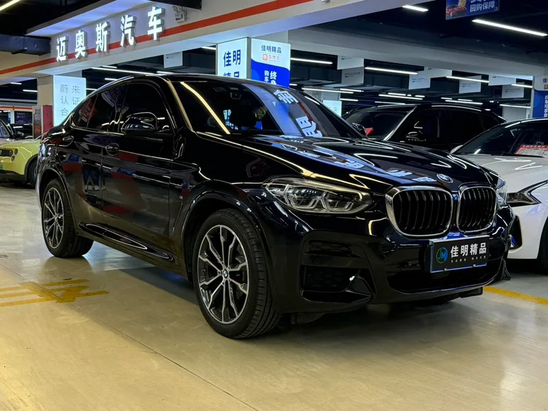BMW X4 2019 xDrive30i M Off-road suit exterior photo 3