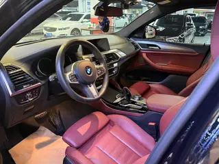 BMW X4 2019 xDrive30i M Off-road suit exterior photo 5