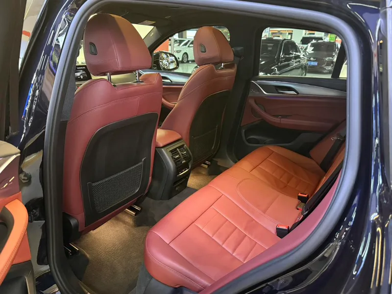 BMW X4 2019 xDrive30i M Off-road suit exterior photo 7