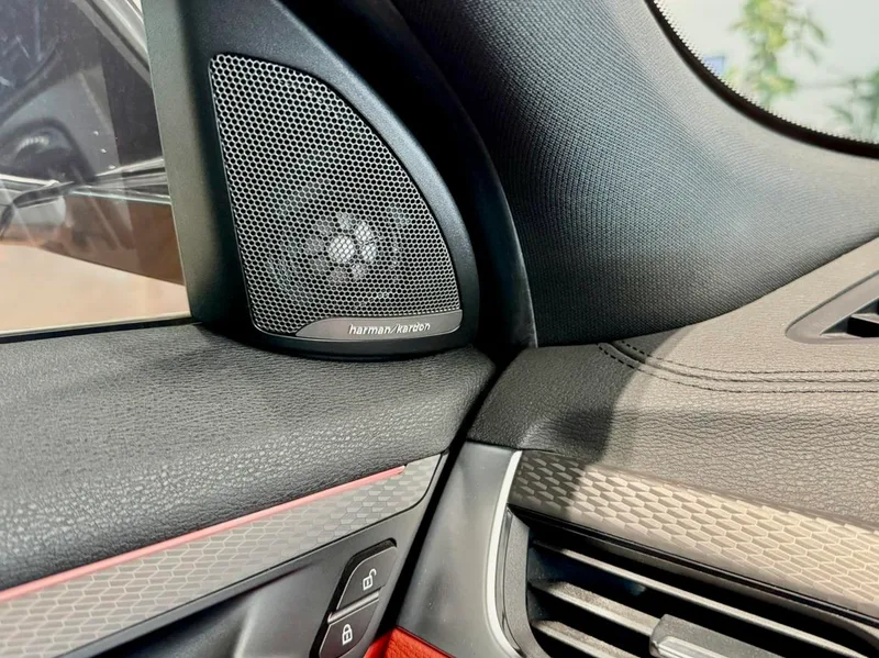 BMW X2 2020 sDrive25i Tipo de lujo M Traje todoterreno interior foto 11