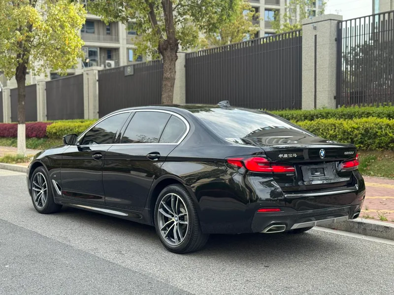 BMW 5 Series 2021 Restyling 525Li M Sports suit interior photo 11