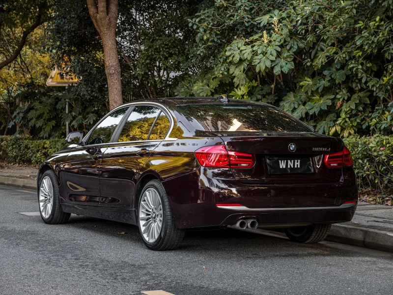 BMW 3 Series 2018 320Li Fashionable interior photo 12