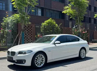 BMW 5 Series 2014 525Li Роскошный дизайнерский набор
