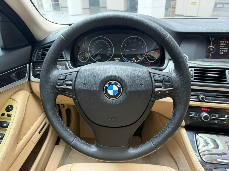 BMW 5 Series 2013 525Li Leading Type interior photo 10