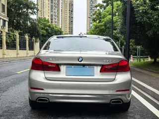 BMW 5 Series 2020 530Li Leading Type Luxury Set exterior photo 6
