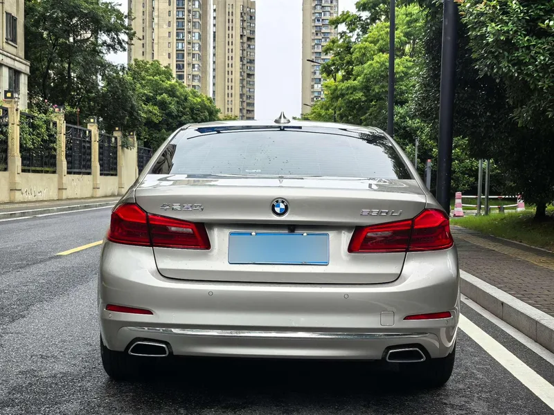 BMW 5 Series 2020 530Li Leading Type Luxury Set exterior photo 6