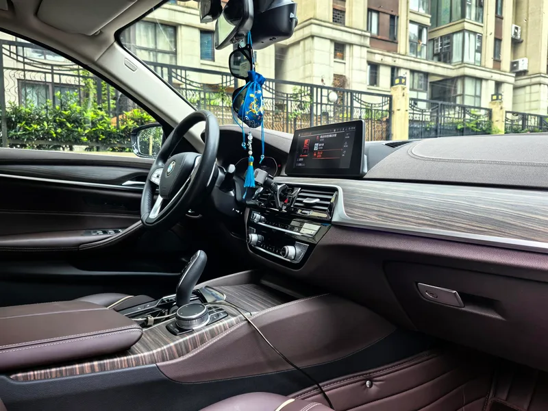 BMW 5 Series 2020 530Li Leading Type Luxury Set interior photo 9