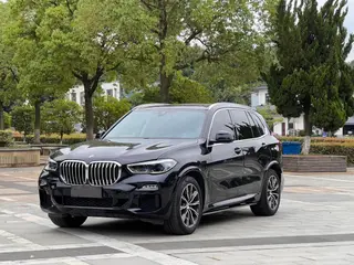BMW X5 2019 xDrive40i M Sports suit exterior photo 1