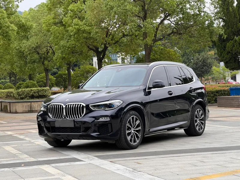 BMW X5 2019 xDrive40i M Sports suit exterior photo 2