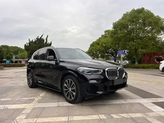 BMW X5 2019 xDrive40i M Sports suit exterior photo 6