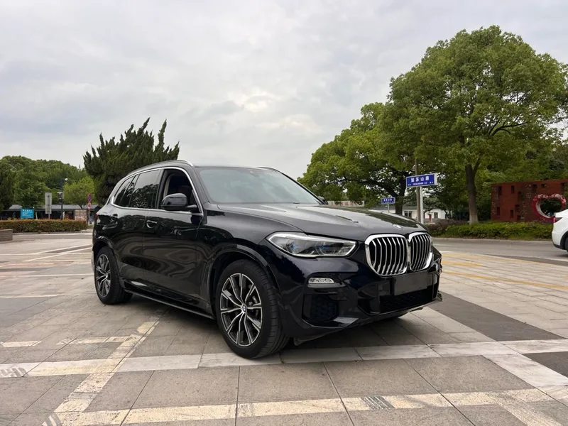 BMW X5 2019 xDrive40i M Sports suit exterior photo 6
