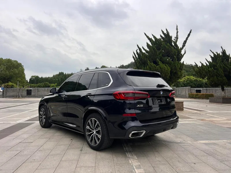 BMW X5 2019 xDrive40i M Sports suit exterior photo 10