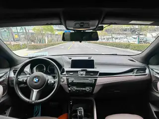 BMW X2 2020 sDrive25i Leading Type M Sports suit exterior photo 4