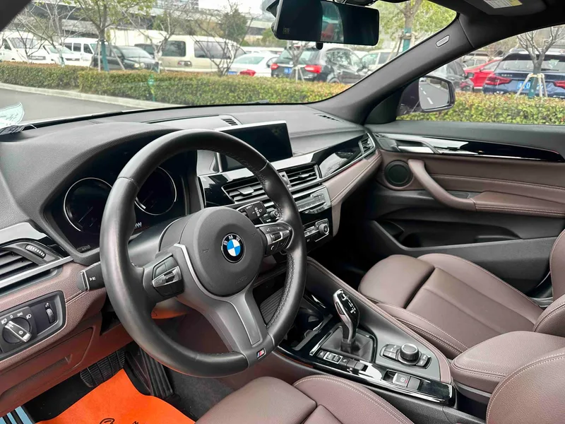 BMW X2 2020 sDrive25i Leading Type M Sports suit exterior photo 6
