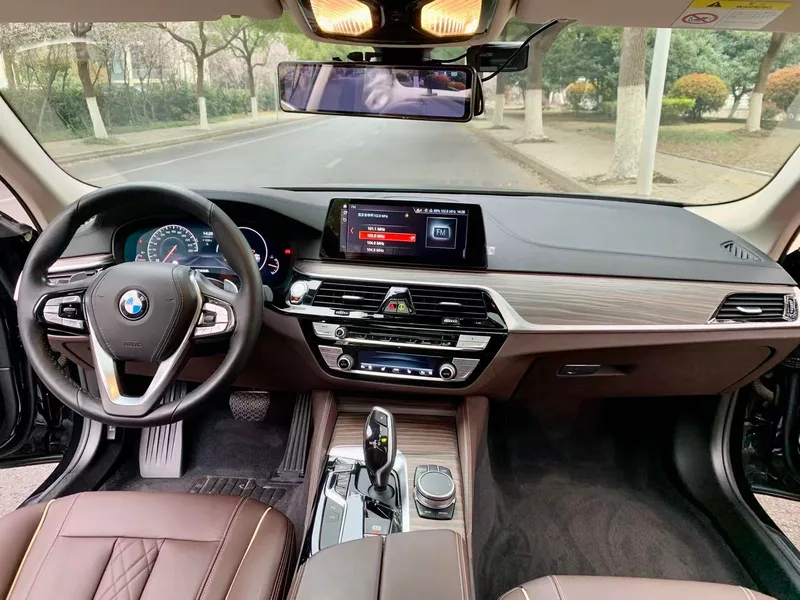 BMW 5 Series 2019 Restyling 530Li Premium Class Luxury Set exterior photo 7