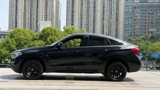 BMW X6 2018 xDrive35i M Sport Luxury Model exterior photo 4