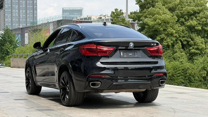 BMW X6 2018 xDrive35i M Sport Luxury Model exterior photo 7