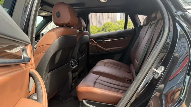 BMW X6 2018 xDrive35i M Sport Luxury Model interior photo 10