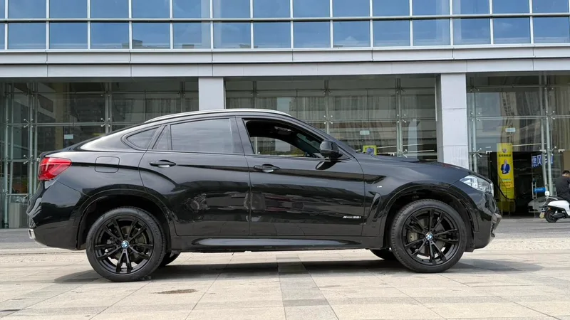 BMW X6 2018 xDrive35i M Sport Luxury Model interior photo 12