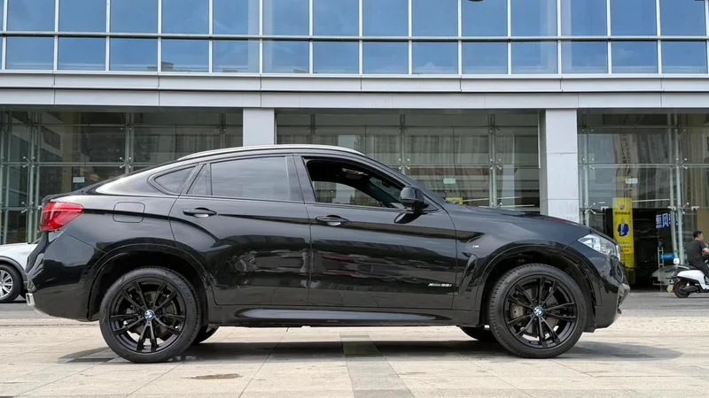 BMW X6 2018 xDrive35i M Sport Luxury Model interior photo 13