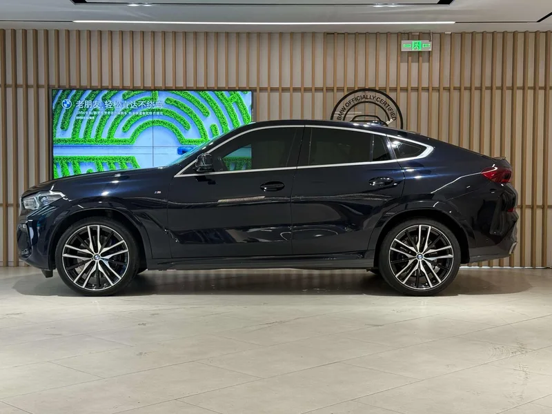 BMW X6 2020 xDrive40i Premium Class M Sports suit exterior photo 3
