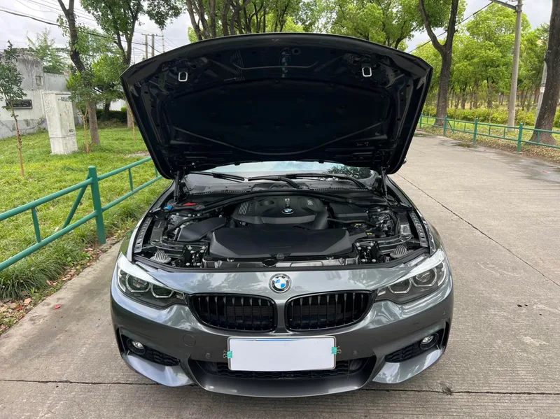 BMW 4 Series 2020 425i Gran Coupe M Sports Obsidian Night Edition interior photo 11