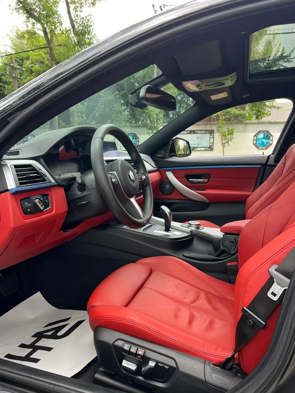 BMW 4 Series 2020 425i Gran Coupe M Sports Obsidian Night Edition interior photo 17